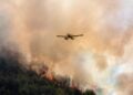 (Φωτ. αρχείου: Ilialive.gr/Γιάννης Σπυρούνης)