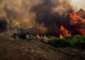 Στιγμιότυπο από παλιότερη φωτιά στην Εύβοια (φωτ. αρχείου: EUROKINISSI/Θοδωρής Νικολάου)