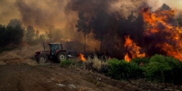 Στιγμιότυπο από παλιότερη φωτιά στην Εύβοια (φωτ. αρχείου: EUROKINISSI/Θοδωρής Νικολάου)