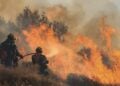 Πυροσβέστες δίνουν μάχη με τις φλόγες στην Ιεράπετρα (φωτ.: EUROKINISSI/Στέφανος Ραπάνης)