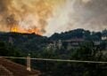 Χαρακτηριστικό στιγμιότυπο από τη φωτιά στον Φενεό Κορινθίας (φωτ.: EUROKINISSI/Βασίλης Ψωμάς)