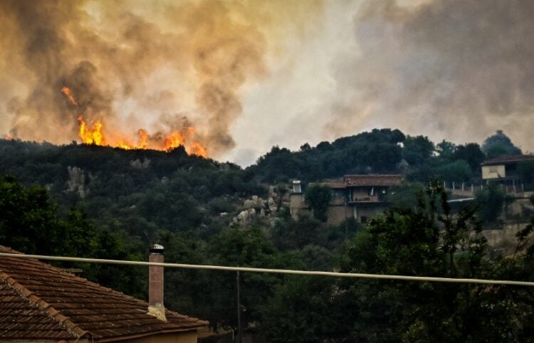 Χαρακτηριστικό στιγμιότυπο από τη φωτιά στον Φενεό Κορινθίας (φωτ.: EUROKINISSI/Βασίλης Ψωμάς)