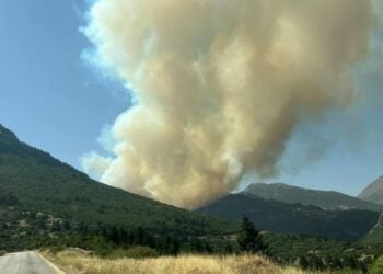 Η φωτιά έχει εκδηλωθεί σε δύσβατο σημείο του Φενεού (φωτ.: facebook/Εποχικοί Πυροσβέστες)