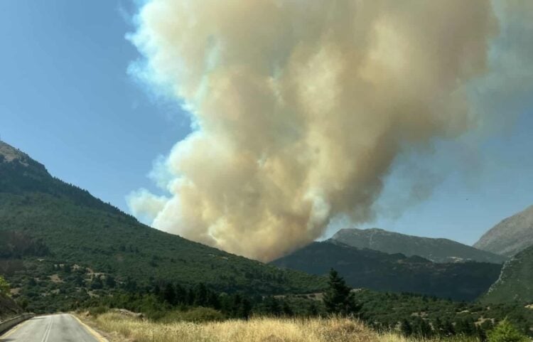 Η φωτιά έχει εκδηλωθεί σε δύσβατο σημείο του Φενεού (φωτ.: facebook/Εποχικοί Πυροσβέστες)