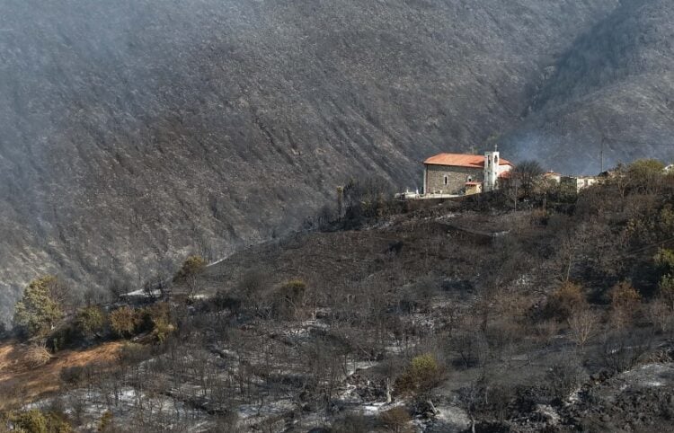(Φωτ, αρχείου: EUROKINISSI/Νικήτας Κώτσιαρης)