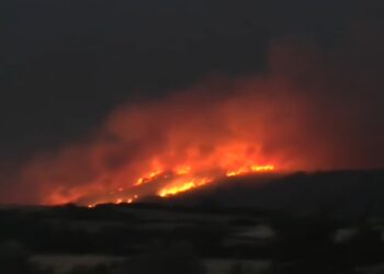 Χθεσινοβραδινό στιγμιότυπο από τη φωτιά έξω από την Άσσηρο (φωτ.: glomex)
