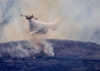 Από τη δασική πυρκαγιά στην περιοχή Αγιάς Λάρισας (φωτ.: EUROKINISSI)
