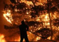 Πυροσβέστης επιχειρεί στην κατάσβεση πυρκαγιάς που ξέσπασε λίγο πριν τις 18.00 το απόγευμα σε αγροτοδασική έκταση στο Ασπροχώρι Ωρωπού (φωτ.: ΑΠΕ-ΜΠΕ / Ορέστης Παναγιώτου)