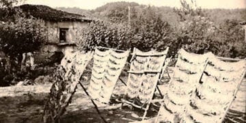 Η λεζάντα είναι του Κοσμά Τσίναλη: Φωτογραφία από την αυλή του Γουρπάσου στη γειτονιά μας. Πίσω διακρίνεται το τούρκικο σπίτι από το οποίο θυμάμαι τις ξύλινες κατασκευές σαν κρεβάτια και πάνω τους στρωμένα τα κλαδιά από τα τούτε, από τις μουριές δηλαδή και τους μεταξοσκώληκες να τρώνε τα φύλλα