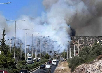 (Φωτ.: facebook / Πυροπροστασία Δασών Λαυρεωτικής)