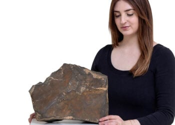 Ο NWA 16788, ο μεγαλύτερος μετεωρίτης που έχει βρεθεί μέχρι σήμερα στη Γη (φωτ.: Sotheby's)