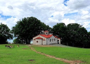 (Φωτ.: facebook / Πάρκο Ελαφιών Αγίου Παντελεήμονα Αγίου Δημητρίου Κοζάνης)