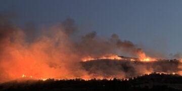 Στιγμιότυπο από την πυρκαγιά των προηγούμενων ημερών στη Ναύπακτο (φωτ.: NafpaktosPress.gr)