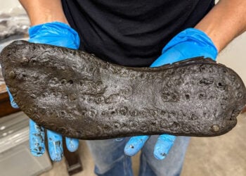 (Φωτ.: ©The Vindolanda Trust)