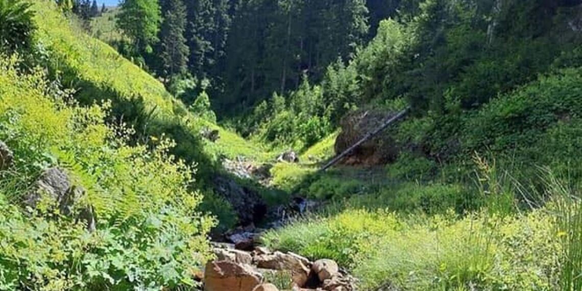 Πυκνό δάσος και τρεχούμενα νερά βρίσκει κανείς σήμερα, εκεί όπου κάποτε βρισκόταν το Γιατμούς (φωτ.: facebook.com/giresunkosebucak)