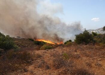 Φωτιά καίει χαμηλή βλάστηση στην Κερατέα (φωτ.: ΑΠΕ-ΜΠΕ/ Χάρης Ακριβιάδης)