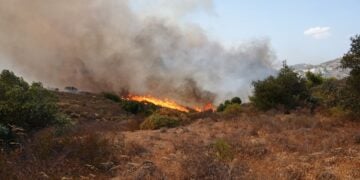 Φωτιά καίει χαμηλή βλάστηση στην Κερατέα (φωτ.: ΑΠΕ-ΜΠΕ/ Χάρης Ακριβιάδης)