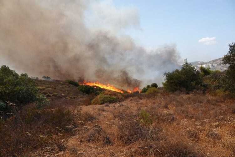 Φωτιά καίει χαμηλή βλάστηση στην Κερατέα (φωτ.: ΑΠΕ-ΜΠΕ/ Χάρης Ακριβιάδης)