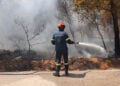 Πυροσβέστης κατά τη διάρκεια κατάσβεσης δασικής πυρκαγιάς (φωτ.: EUROKINISSI / Γιάννης Παναγόπουλος)