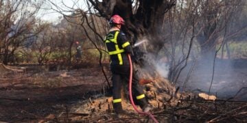 Πυροσβέστες επιχειρούν για την κατάσβεση πυρκαγιάς (φωτ. αρχείου: Eurokinissi/Γιάννης Παναγόπουλος)