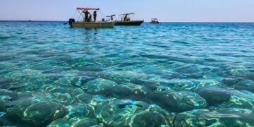 (Φωτ.: Eurokinissi / Γιώργος Κονταρίνης)