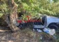 (Πηγή φωτ.: odelalis.gr)