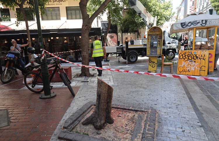 Ό,τι απέμεινε από το δέντρο στην Ερμού (φωτ.: EUROKINISSI / Γιάννης Παναγόπουλος)