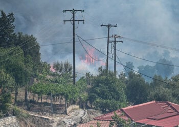 Πυρκαγιά στην Φιλιππιάδα Πρέβεζας, Τετάρτη 13 Αυγούστου 2025 (φωτ.: EUROKINISSI / Γιώργος Ευσταθίου)