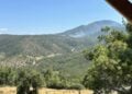 (Φωτ.: Νίκος Χριστοφορίδης/ pontosnews.gr)