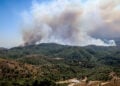 Πυρκαγιά στη Χίο, σε δασική έκταση. Τρίτη 12 Αυγούστου 2025  (φωτ.: EUROKINISSI / Κώστας Αναγνώστου)