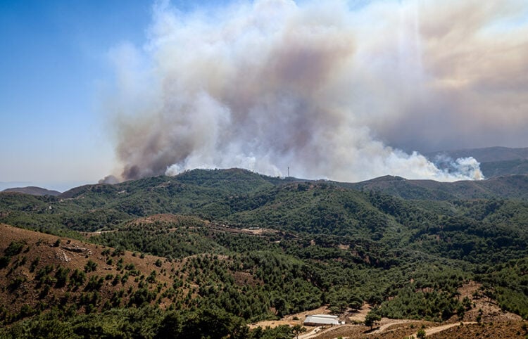 Πυρκαγιά στη Χίο, σε δασική έκταση. Τρίτη 12 Αυγούστου 2025  (φωτ.: EUROKINISSI / Κώστας Αναγνώστου)