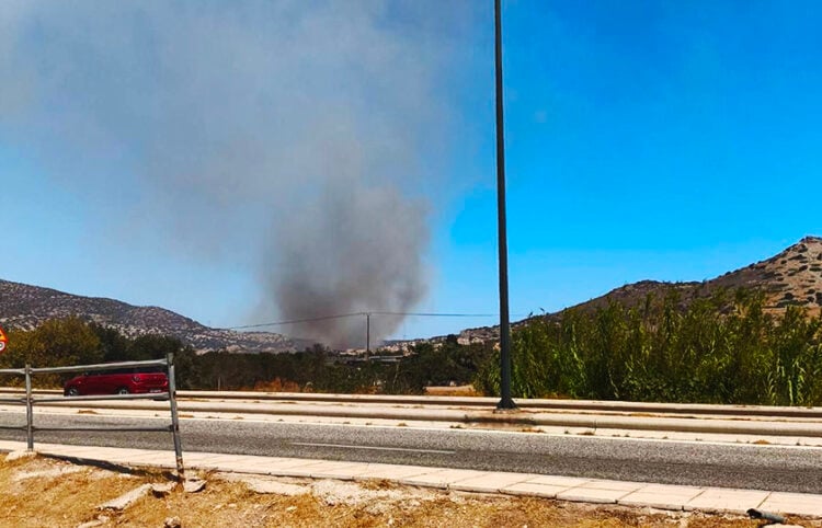 Καπνός από τη φωτιά στο Θορικό Λαυρίου (φωτ.: Facebook / Πυροπροστασία Δασών Λαυρεωτικής)