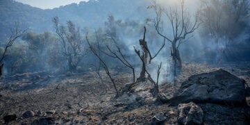Καμένα στη Μόρια Λέσβου (φωτ.: EUROKINISSI / Παναγιώτης Μπαλάσκας)