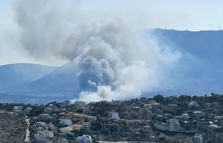 Στιγμιότυπο από τη φωτιά (φωτ.: Περσέας Πεντελικού - ΕΘΟΜΑΚ)