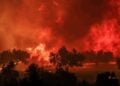 Περιοχή της Αχαΐας παραδομένη στις φλόγες (φωτ.: EUROKINISSI/Δημήτρης Χριστοδουλόπουλος)