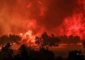 Περιοχή της Αχαΐας παραδομένη στις φλόγες (φωτ.: EUROKINISSI/Δημήτρης Χριστοδουλόπουλος)
