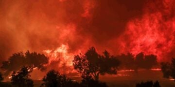 Περιοχή της Αχαΐας παραδομένη στις φλόγες (φωτ.: EUROKINISSI/Δημήτρης Χριστοδουλόπουλος)