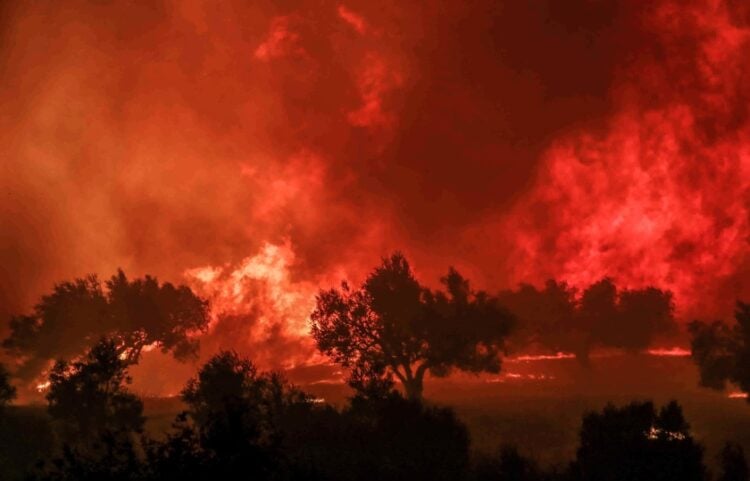Περιοχή της Αχαΐας παραδομένη στις φλόγες (φωτ.: EUROKINISSI/Δημήτρης Χριστοδουλόπουλος)