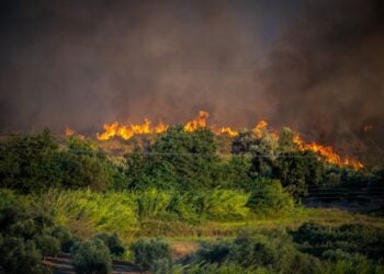 (Φωτ. αρχείου: EUROKINISSI/IleiaLive.gr/Γιάννης Σπυρούνης)