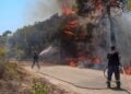 (Φωτ. αρχείου: EUROKINISSI/IleiaLive.gr/Γιάννης Σπυρούνης)