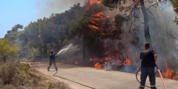 (Φωτ. αρχείου: EUROKINISSI/IleiaLive.gr/Γιάννης Σπυρούνης)