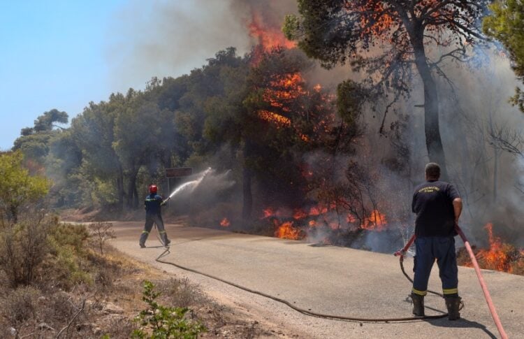 (Φωτ. αρχείου: EUROKINISSI/IleiaLive.gr/Γιάννης Σπυρούνης)