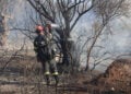 Από την Πυρκαγιά στην Παιανία, κοντά στην Αττική Οδό (φωτ.: EUROKINISSI / Γιάννης Παναγόπουλος)
