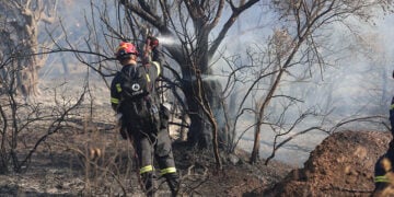 Από την Πυρκαγιά στην Παιανία, κοντά στην Αττική Οδό (φωτ.: EUROKINISSI / Γιάννης Παναγόπουλος)