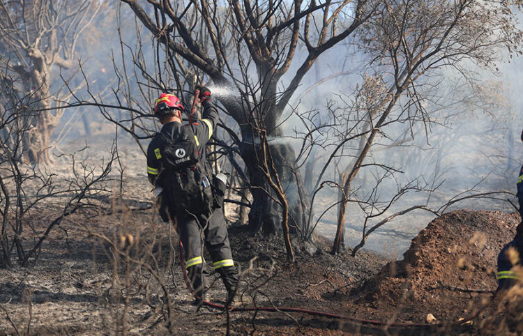 Από την Πυρκαγιά στην Παιανία, κοντά στην Αττική Οδό (φωτ.: EUROKINISSI / Γιάννης Παναγόπουλος)