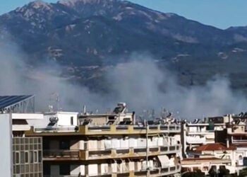 Καπνός από τη φωτιά στη Φωτιά στην Κομοτηνή, στη Νέα Μοσυνούπολη (πηγή: Facebook / Kostas Diamandis)