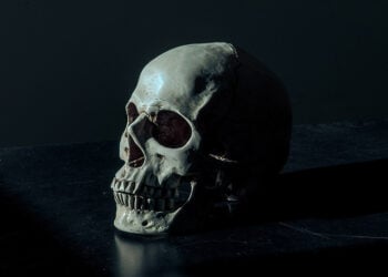 (Φωτ. αρχείου: pexels)