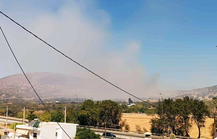 Καπνός από τη φωτιά στο Θορικό Λαυρίου (φωτ.: Facebook / Πυροπροστασία Δασών Λαυρεωτικής)