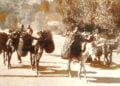 Στις καλαμένιες καλαθούνες οι σοδειές (φωτ.: Επιτροπή Ποντιακών Μελετών)