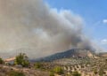 (Φωτ.: facebook / Πυροπροστασία Δασών Λαυρεωτικής)